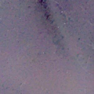 Meet your Posher, Itzel